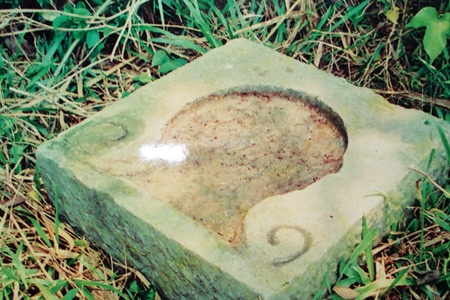 Dao tham do 5 ho khao co de tim mo vua Quang Trung hinh anh