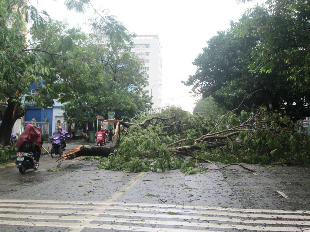 Ap thap nhiet doi lam mot nguoi chet,  mot nguoi ma anh 3