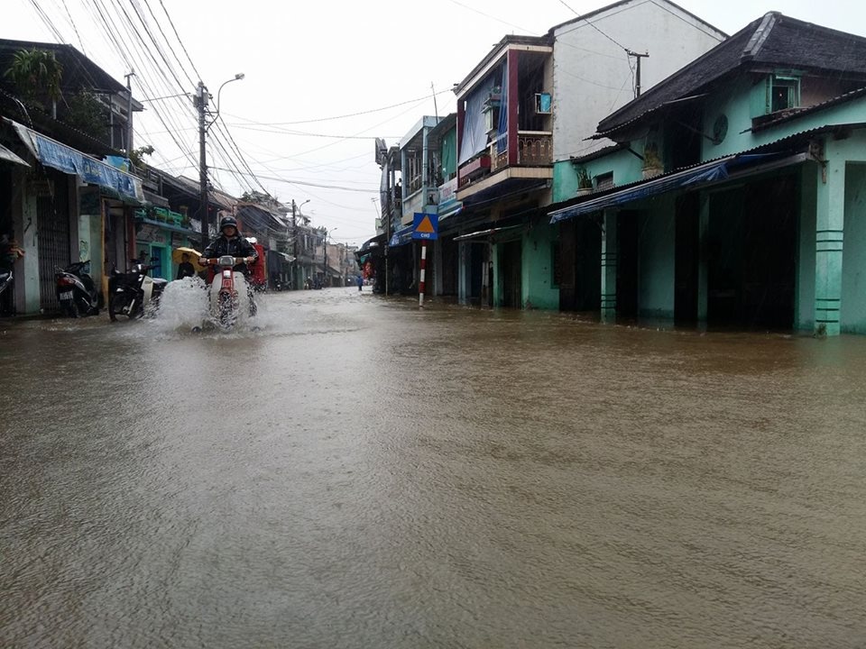 Hue ngap trong lu gay chia cat anh 5