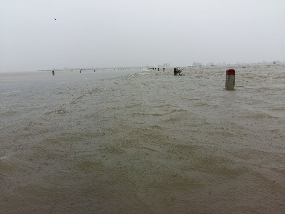 Hue ngap trong lu gay chia cat anh 2