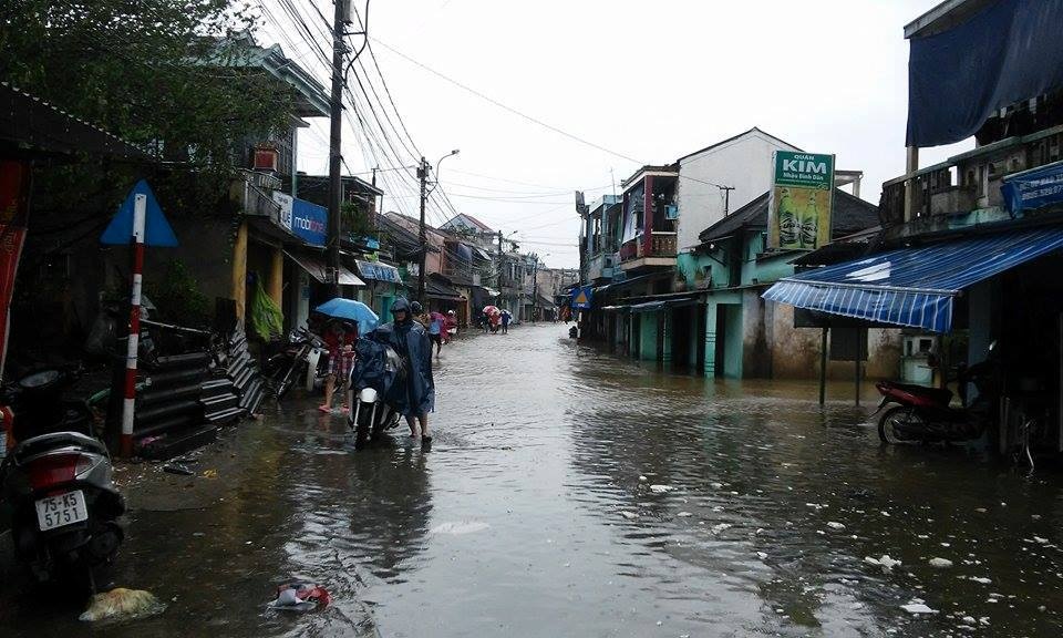 Hue ngap trong lu gay chia cat anh 4