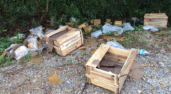 Cong an truy tim hung thu trom 4.000 kip no hinh anh