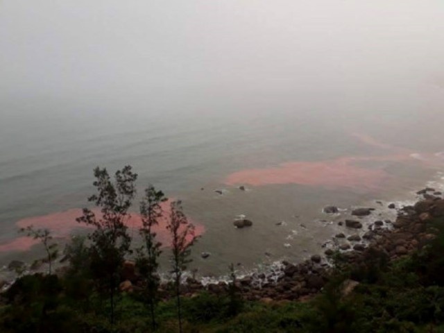 Lấy mẫu dải nước màu đỏ xét nghiệm ảnh 1 Lay mau dai nuoc mau do xet nghiem anh 1