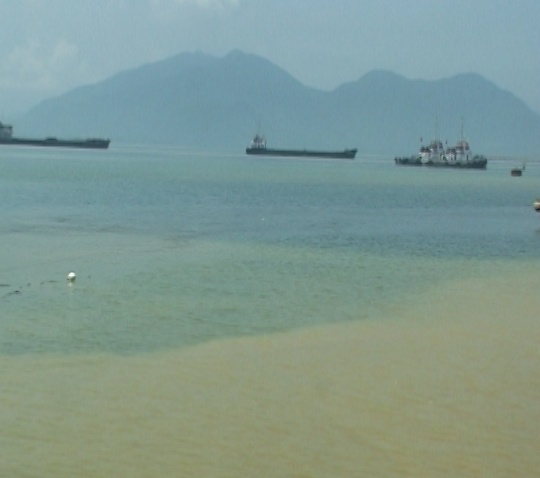 Nuoc bien vinh Chan May co mau vang duc bat thuong hinh anh