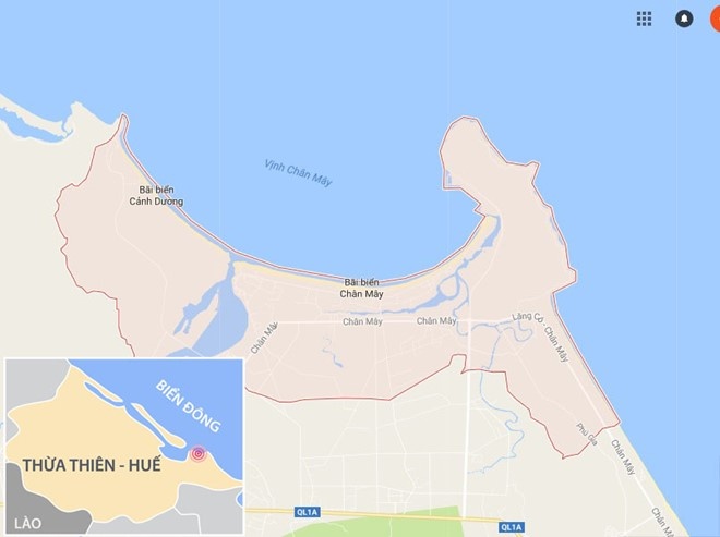 Dải nước vàng trên biển là do tảo nở hoa ảnh 2 Dai nuoc vang tren bien la do tao no hoa anh 2