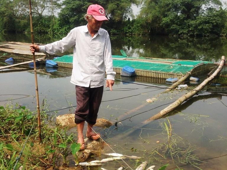 Nguoi dan 'to' thuy dien giu nuoc khien ca long chet hang loat hinh anh