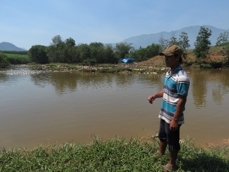 Tieu huy 6.500 con vit nhiem cum A/H5N6 hinh anh