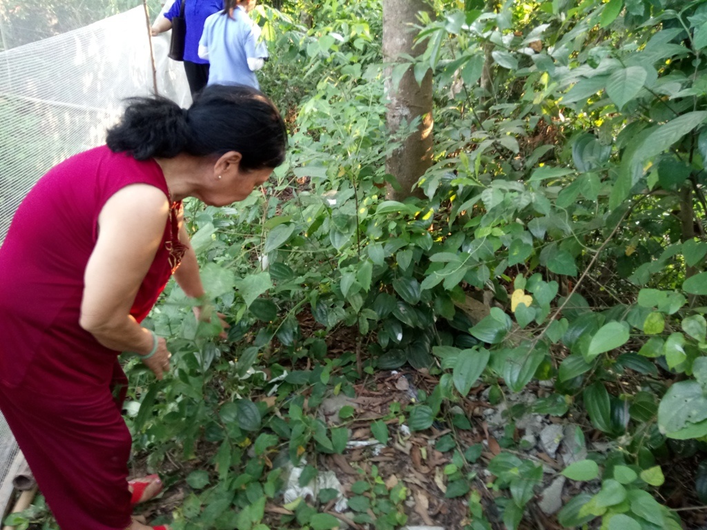 Be trai so sinh bi bo roi anh 2