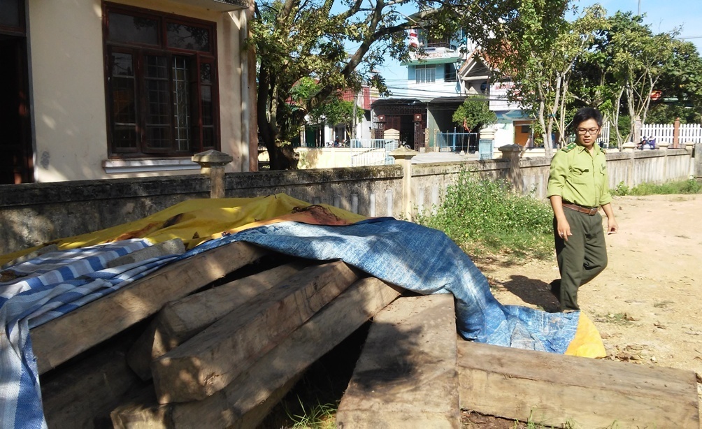 Rung bi tan pha anh 3