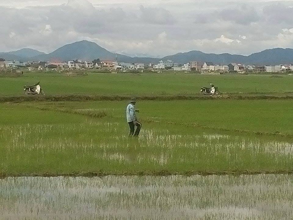 Set danh mot nguoi tu vong anh 1