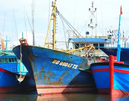 Ngu dan dong loat rut don dang ky dong tau vo thep hinh anh