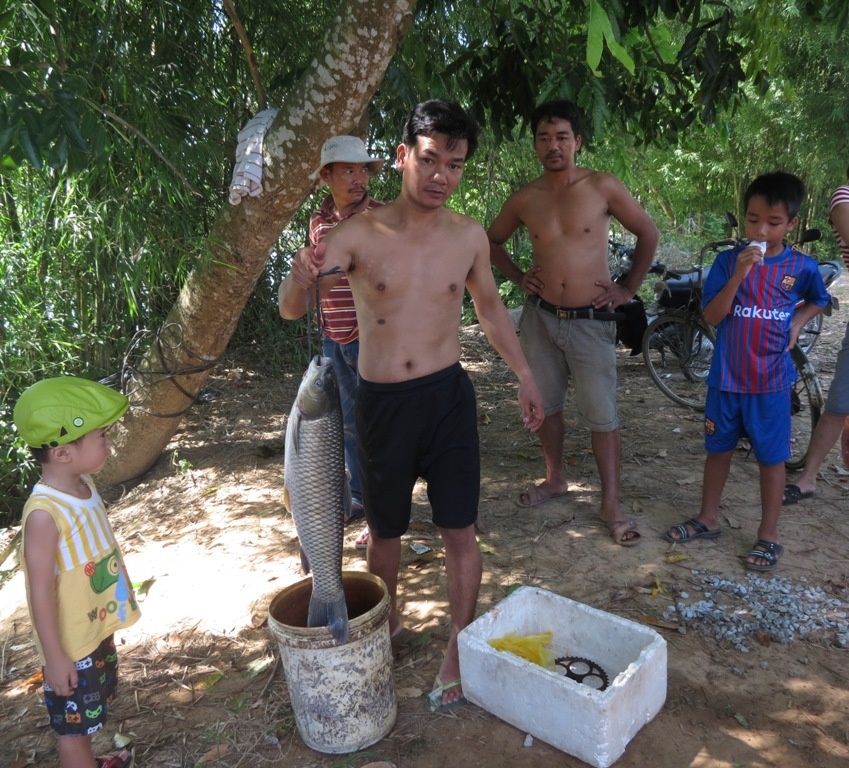 Ca long chet hang loat tren song Bo o Hue hinh anh