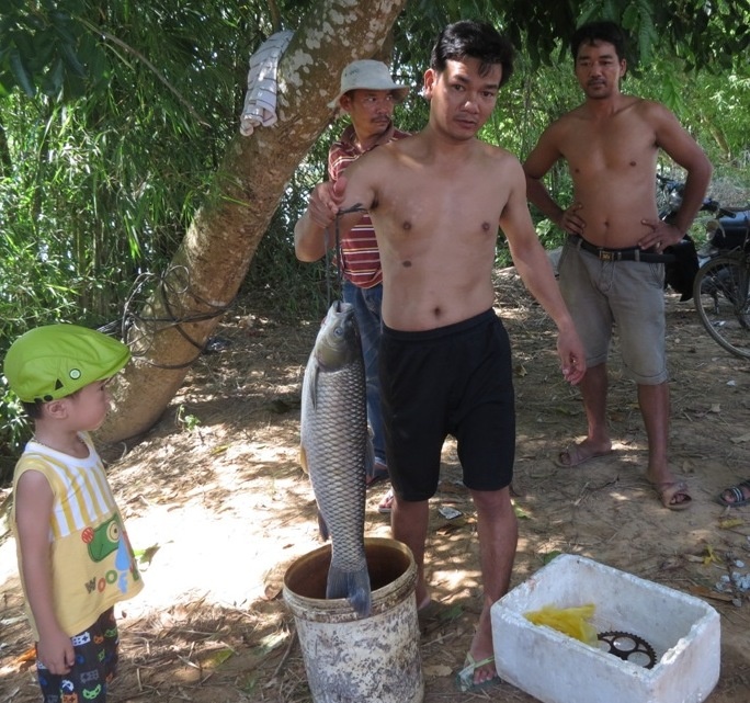 Ca long chet bat thuong anh 2