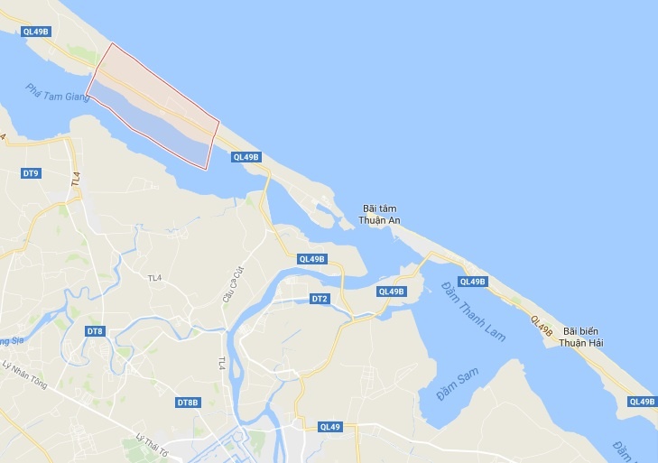 Cá heo dạt vào bờ biển ảnh 2 Ca heo dat vao bo bien anh 2