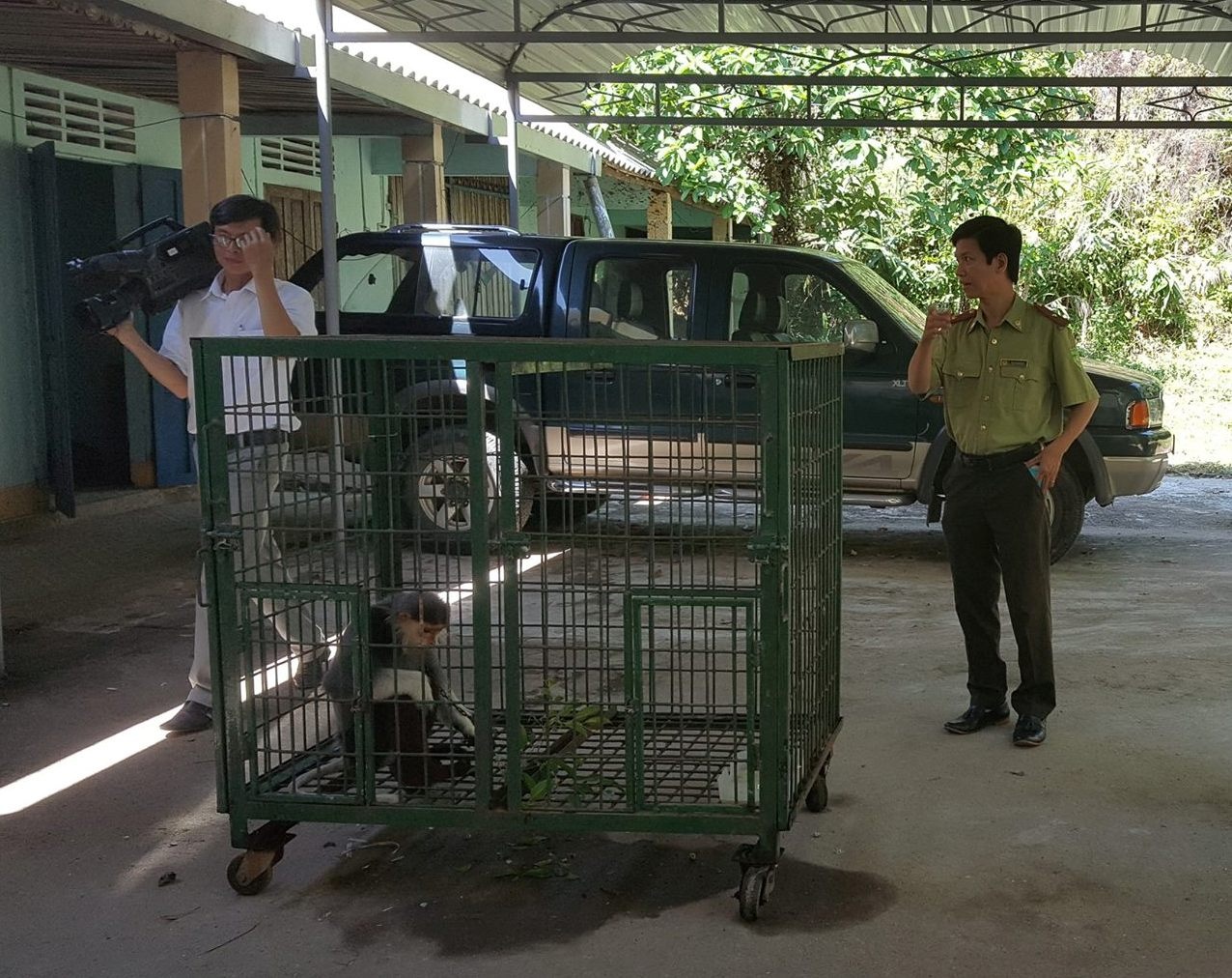 Voọc quý hiếm ảnh 1 Vooc quy hiem anh 1