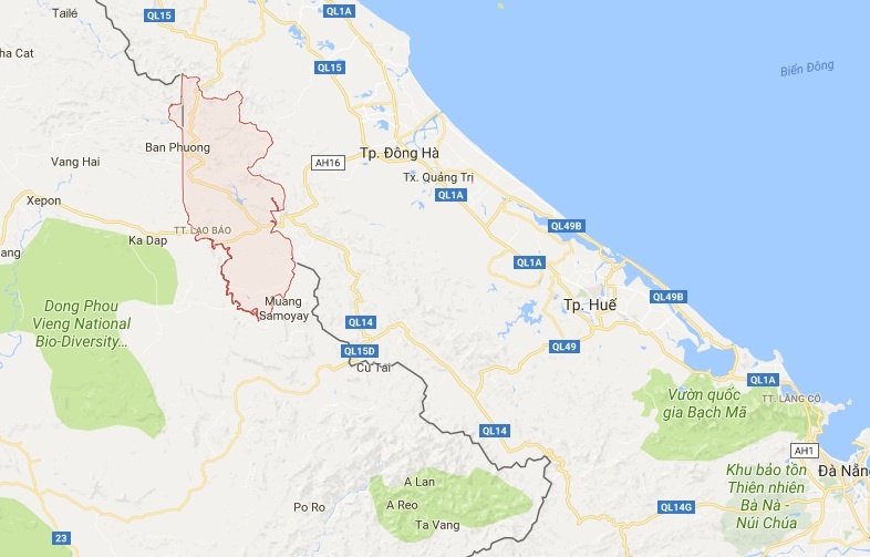 Nguoi dan ong bi ran can anh 2