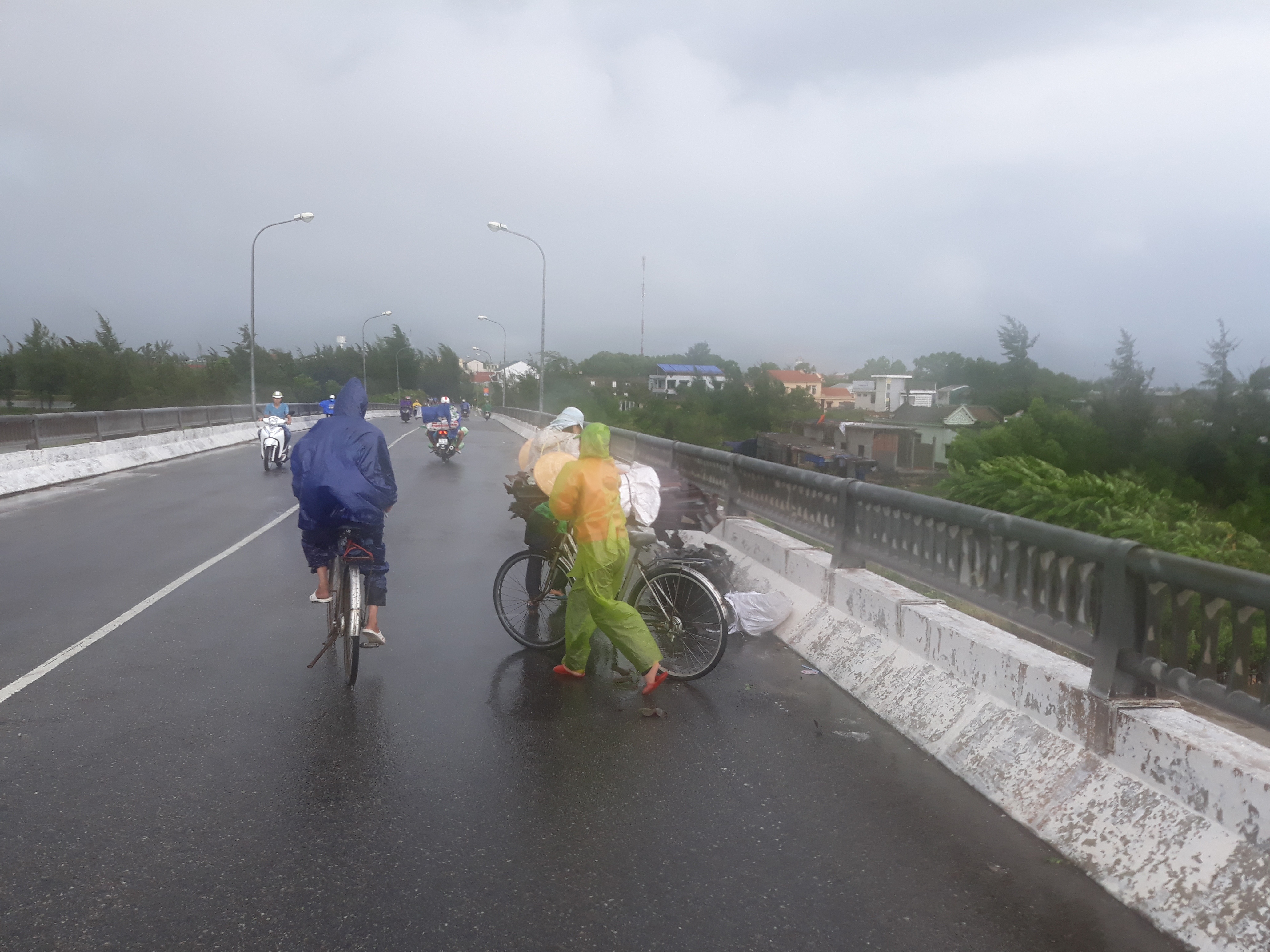 Gio giat manh kem theo mua to truoc bao so 10 o Hue hinh anh