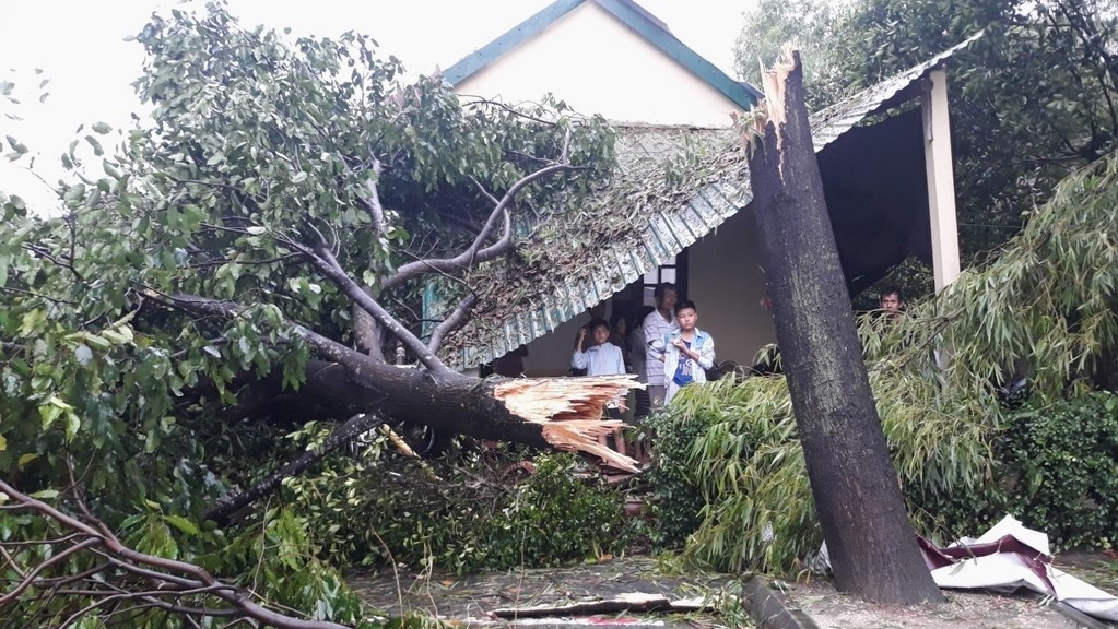 Hon 500 nha toc mai, cay do hang loat sau loc xoay hinh anh