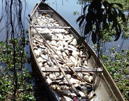 Hang chuc tan ca long chet, nguoi dan lam vao canh trang tay hinh anh