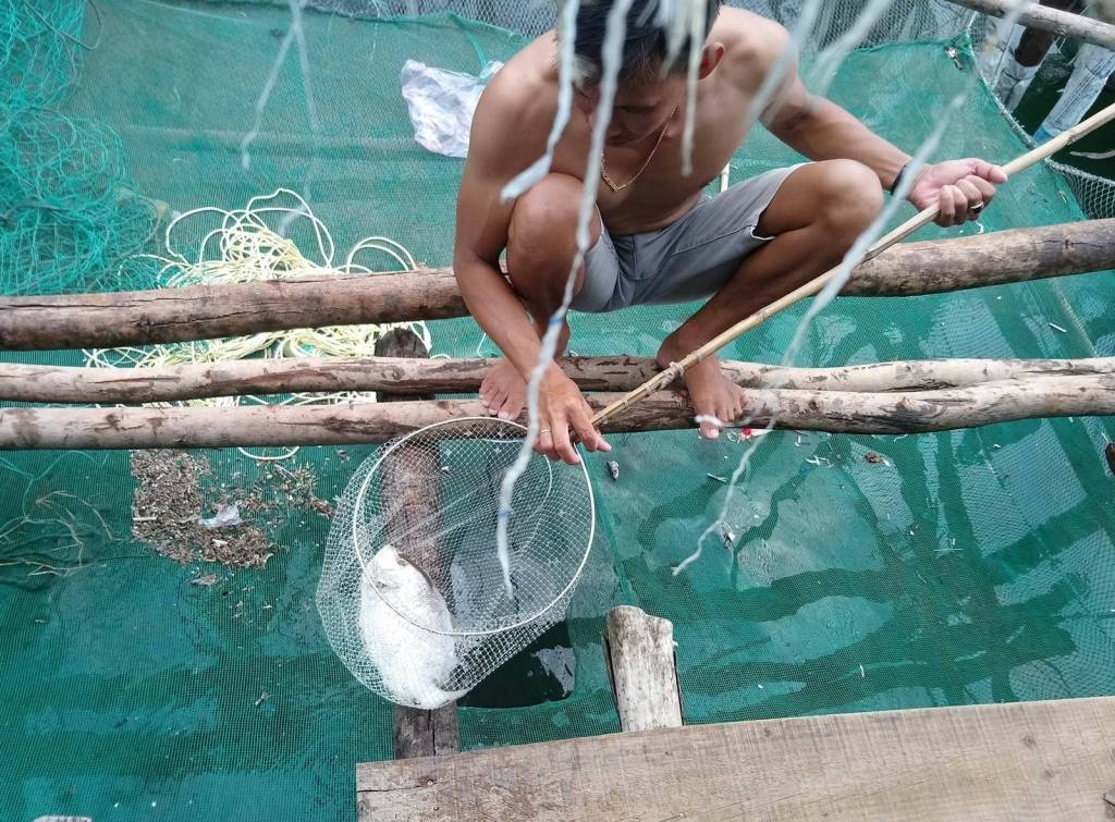 Ca long chet bat thuong anh 1