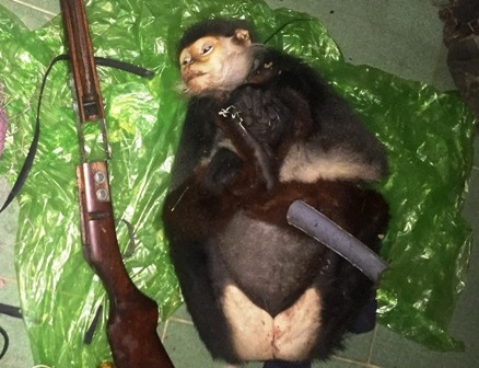 Truy tim 2 nguoi dan ong mang theo vooc cha va da chet hinh anh