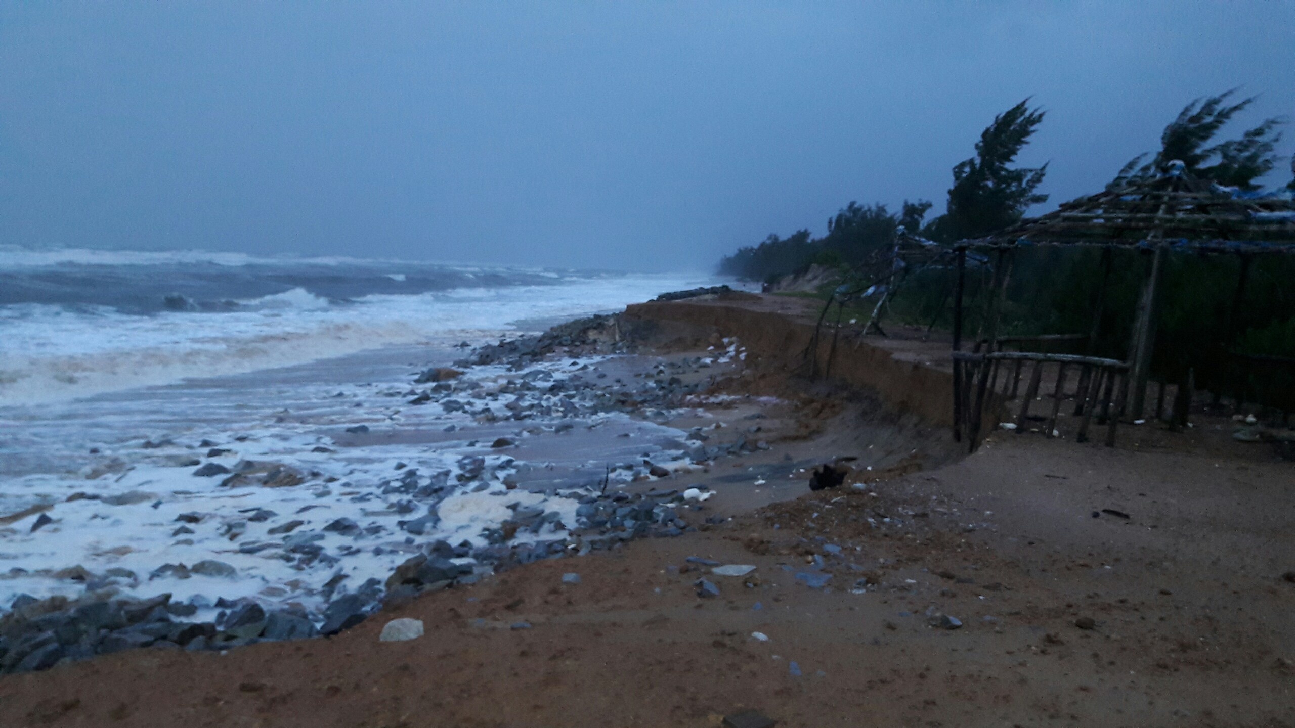 Mo cua bien moi anh 1