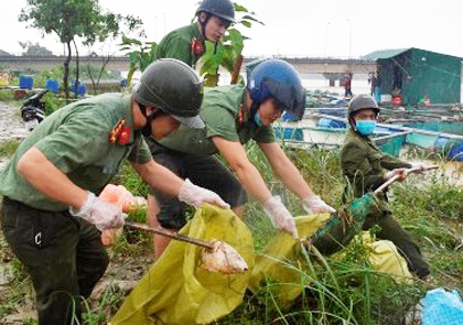 Cong an giup dan vung lu thu gom ca chet hinh anh