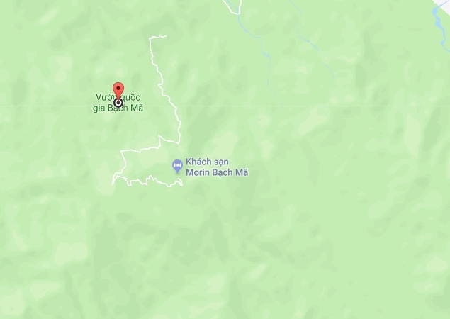 Giai cuu meo rung anh 2