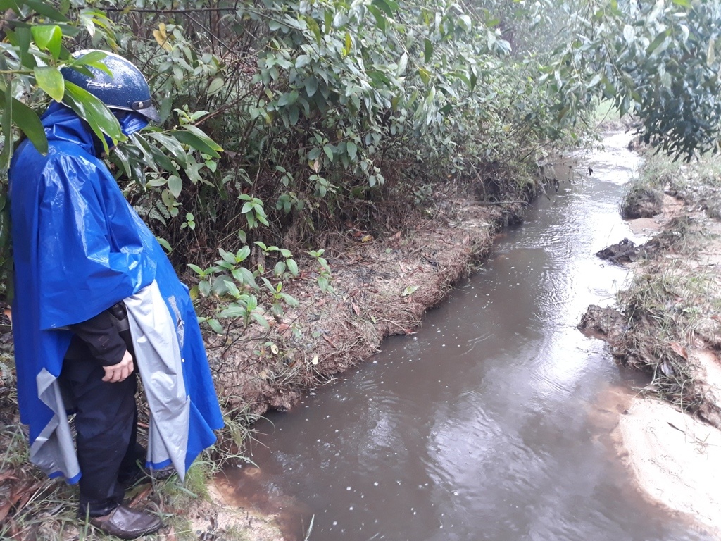 Ca song chet bat thuong nghi nhiem doc anh 2