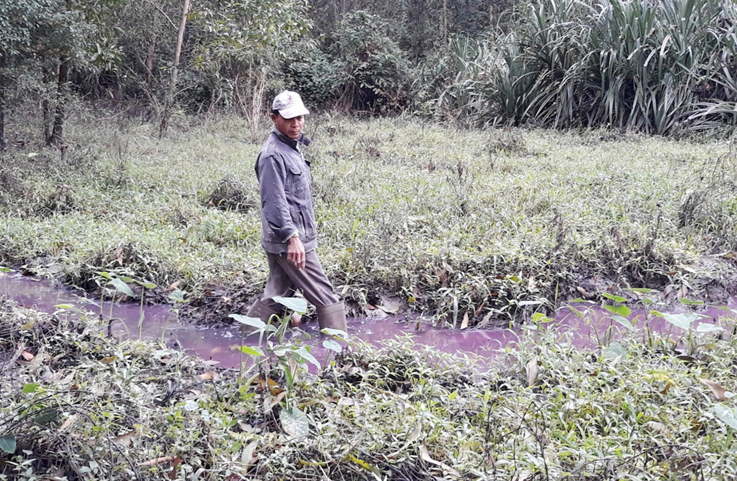 khe nước thải nhuộm màu hóa chất ảnh 2 khe nuoc thai nhuom mau hoa chat anh 2