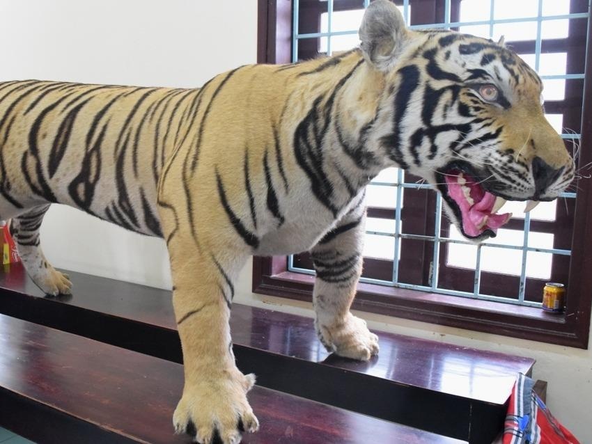 Oto khach cho bo da ho nhoi bong trai phep vao Sai Gon hinh anh