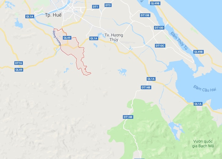 Bộ da hổ nhồi bông trên ôtô khách ảnh 2 Bo da ho nhoi bong tren oto khach anh 2