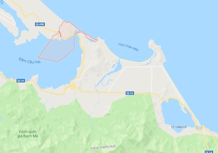 Ca su vang nang 2, 5 kg anh 2