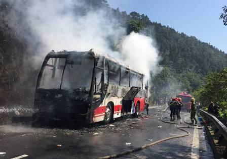 Oto cho khach nuoc ngoai chay rui tren deo Hai Van ngay 30 Tet hinh anh