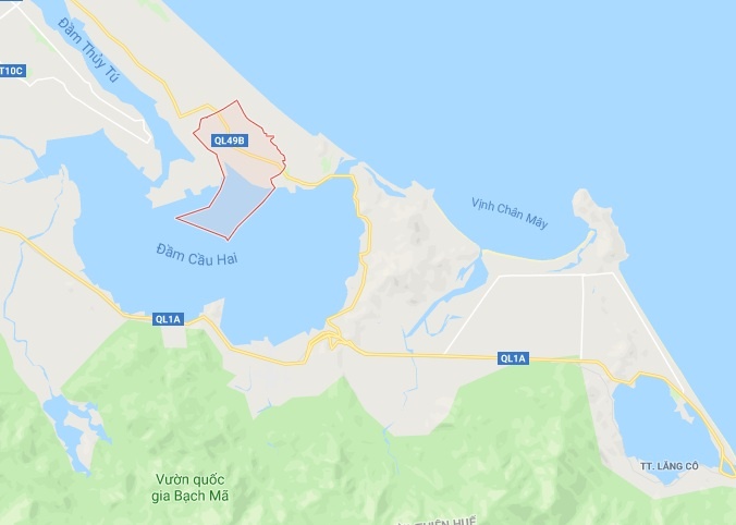 Ca chach co mau ruc anh 2