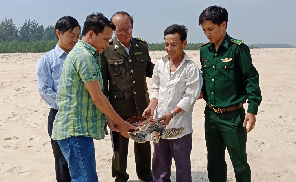 Rua bien quy hiem mac vao ngu cu anh 1