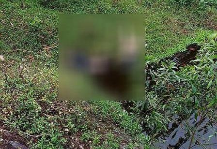 Phat hien thi the 2 thanh nien duoi chan cau hinh anh