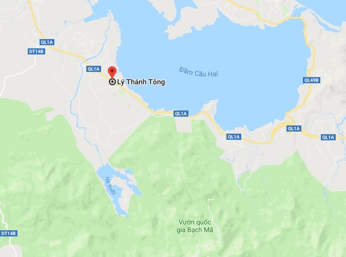 3 cây đa sộp có nguồn gốc rõ ràng? ảnh 3 3 cay da sop co nguon goc ro rang? anh 3