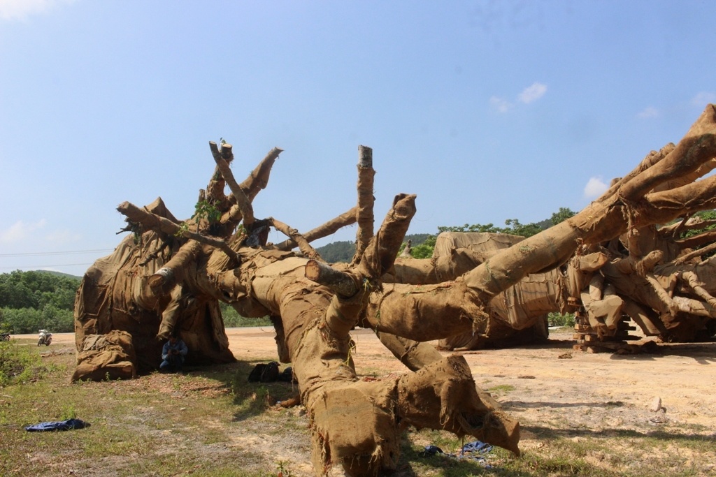 Mot nguoi tu xung chu 3 cay "khung" anh 1