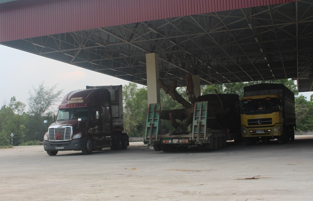 Xe van chuyen cay da khung roi Hue anh 2