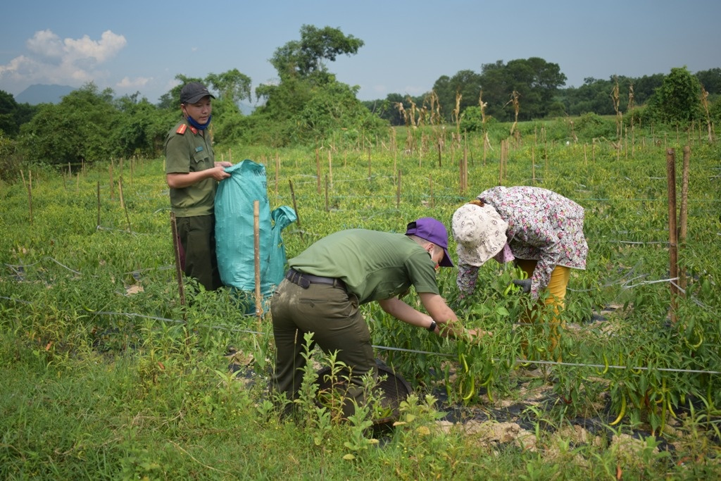 Doanh nghiep thu mua ot anh 1
