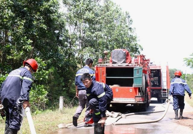 Cháy rừng thông ở trung tâm văn hóa ảnh 1 Chay rung thong o trung tam van hoa anh 1