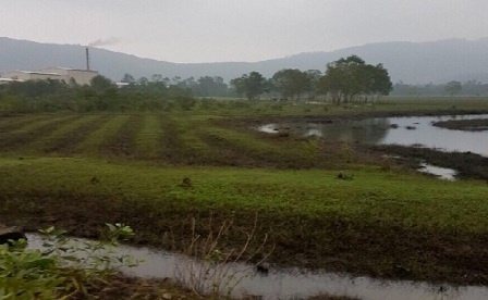 Nguyen chu tich xa chiem 13 lo dat giao cho nguoi than hinh anh