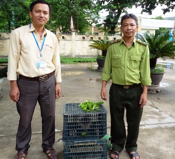 Voọc quý hiếm ảnh 1 Vooc quy hiem anh 1