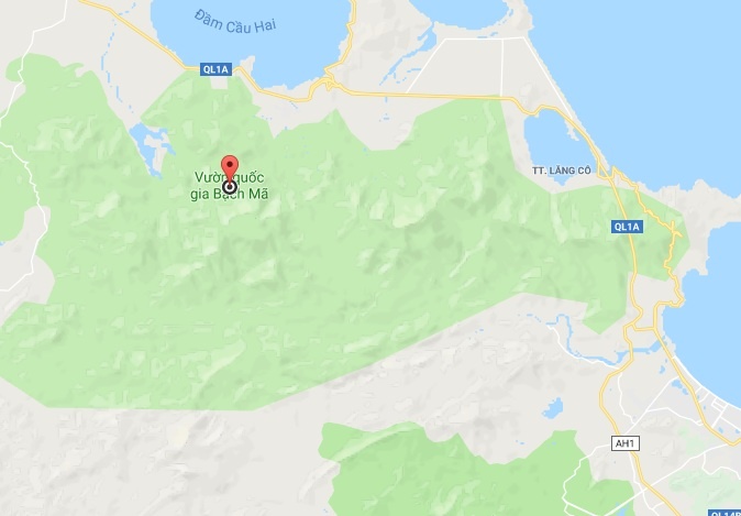 Voọc quý hiếm ảnh 2 Vooc quy hiem anh 2