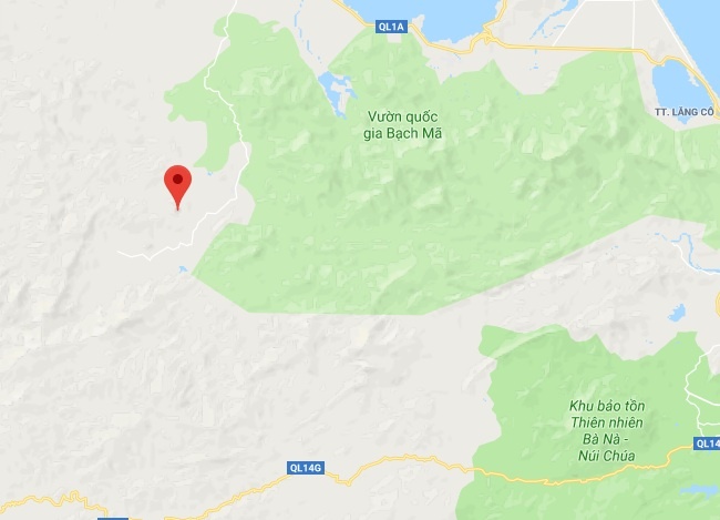 Nguoi dan ong tu vong giua suoi anh 2