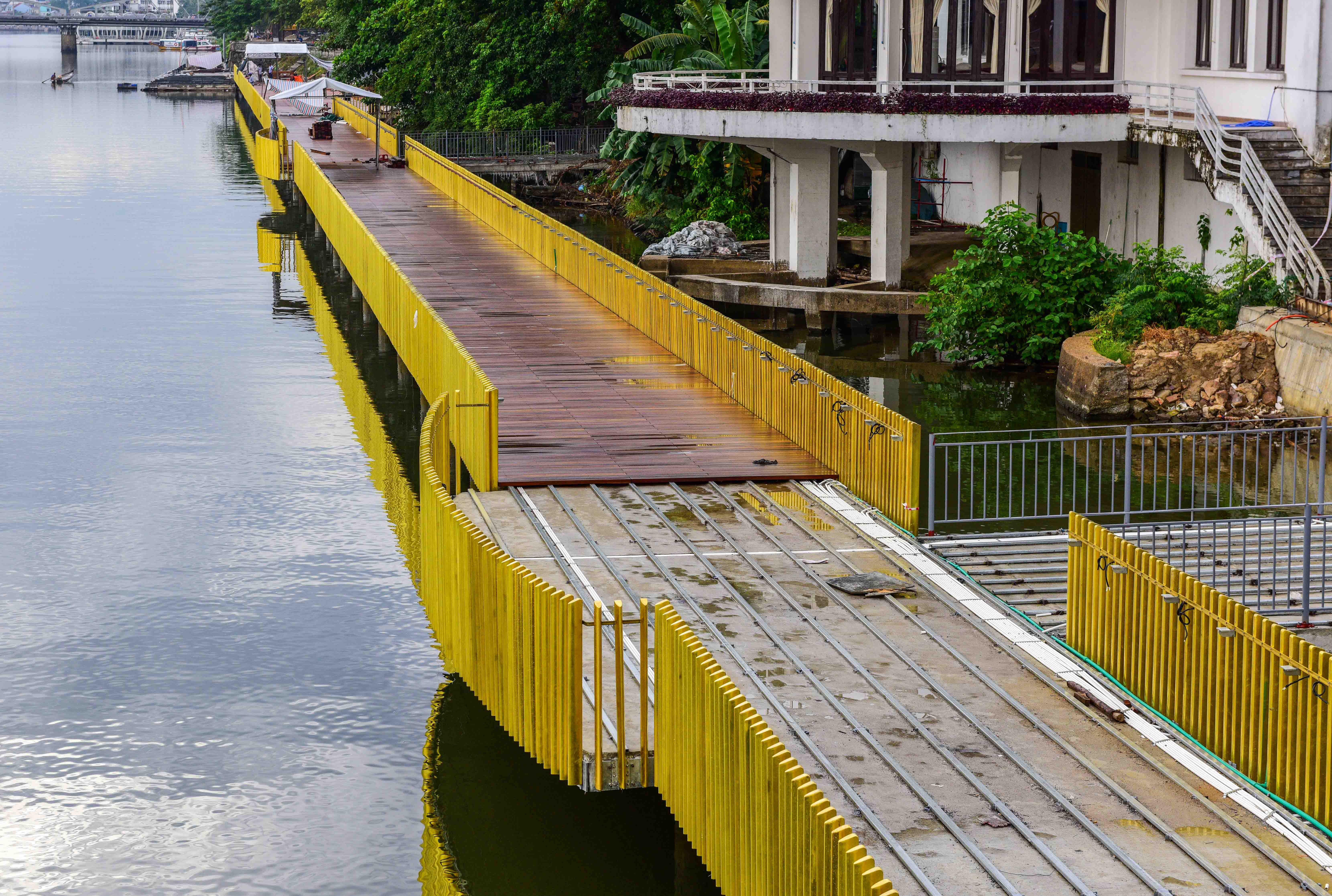 Go lim lat duong di bo ven song Huong xuat hien nhieu vet nut hinh anh