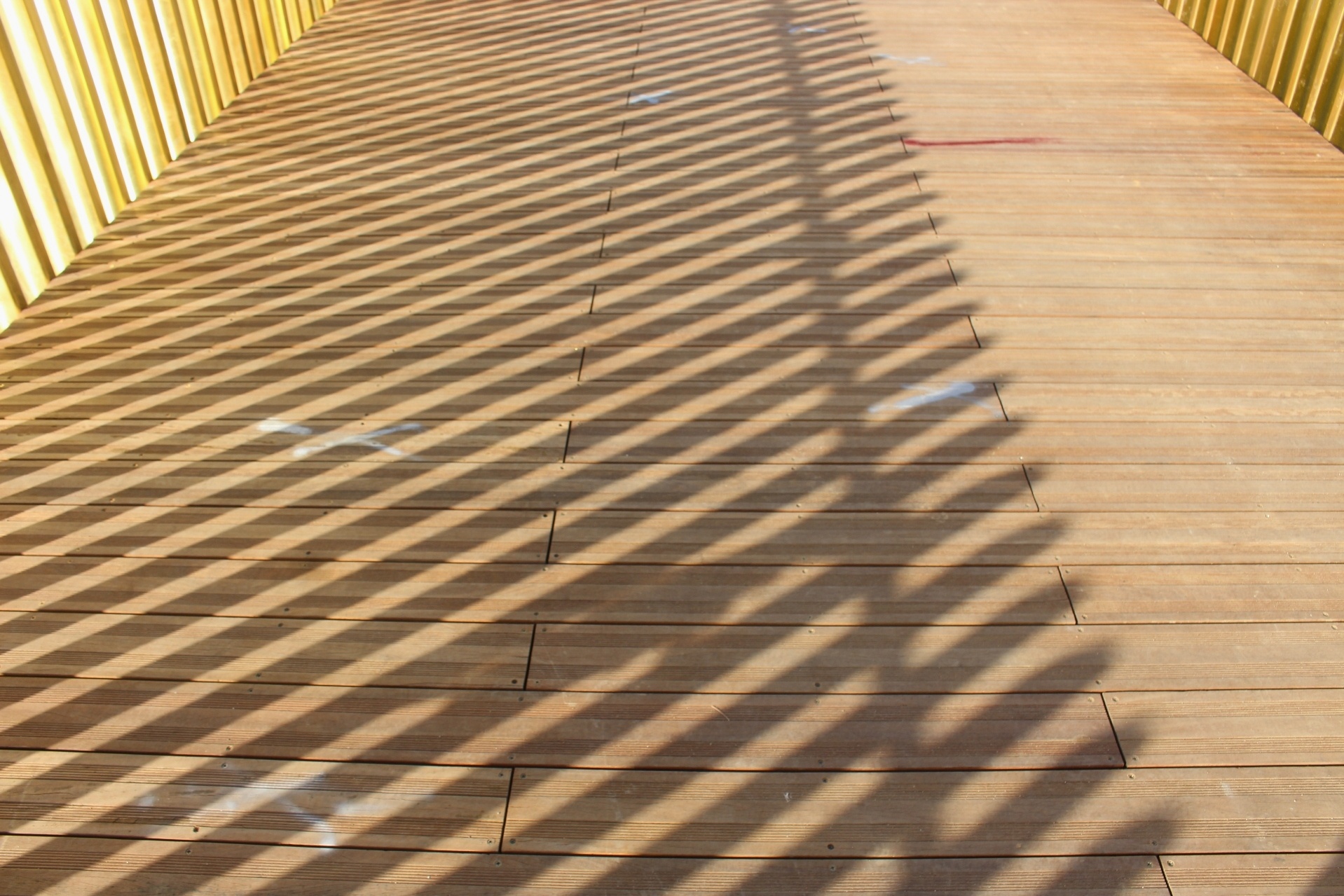 Go lim lam duong di bo bi nut anh 6