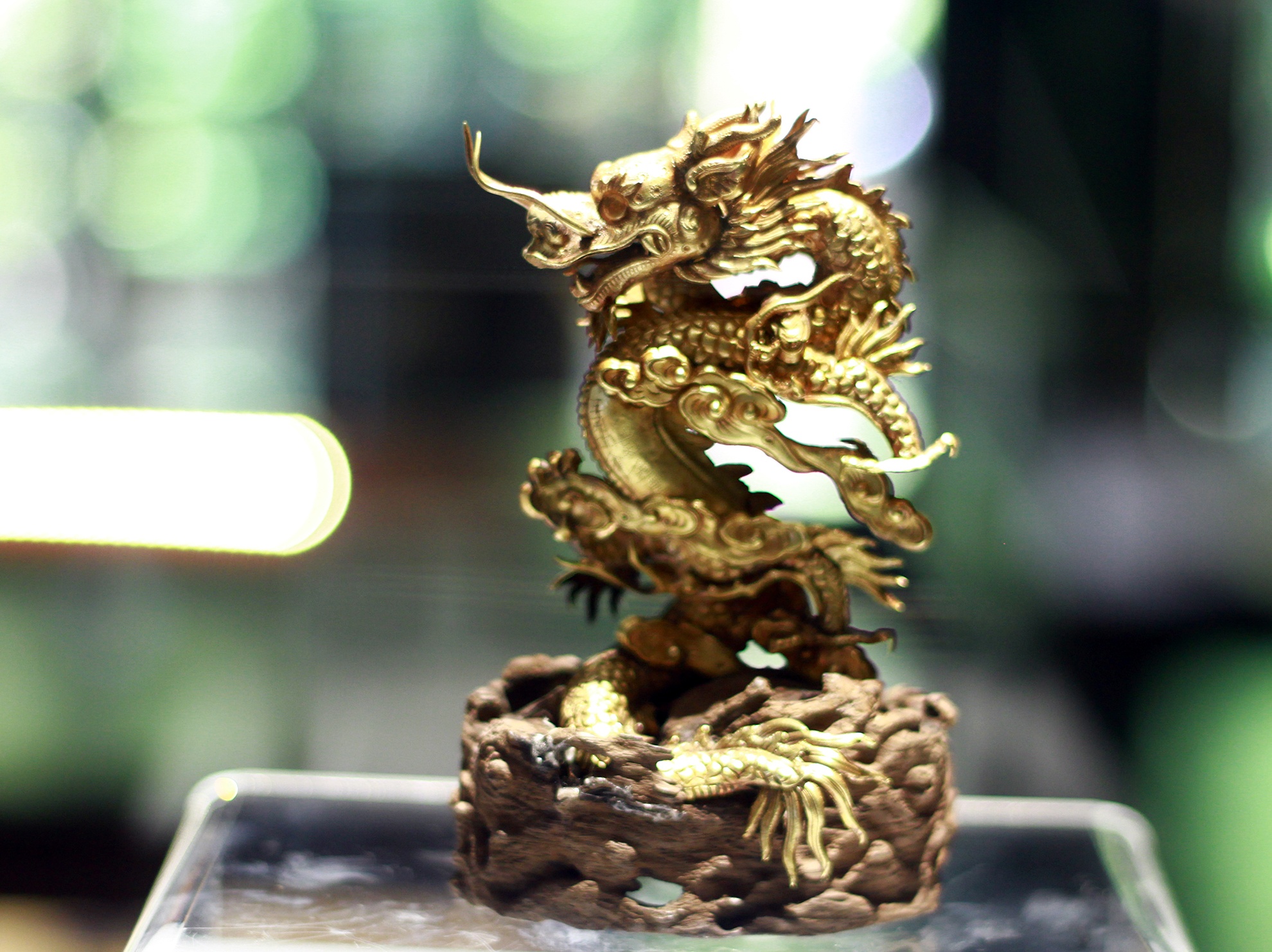 Bao vat rong phuong trieu Nguyen anh 2