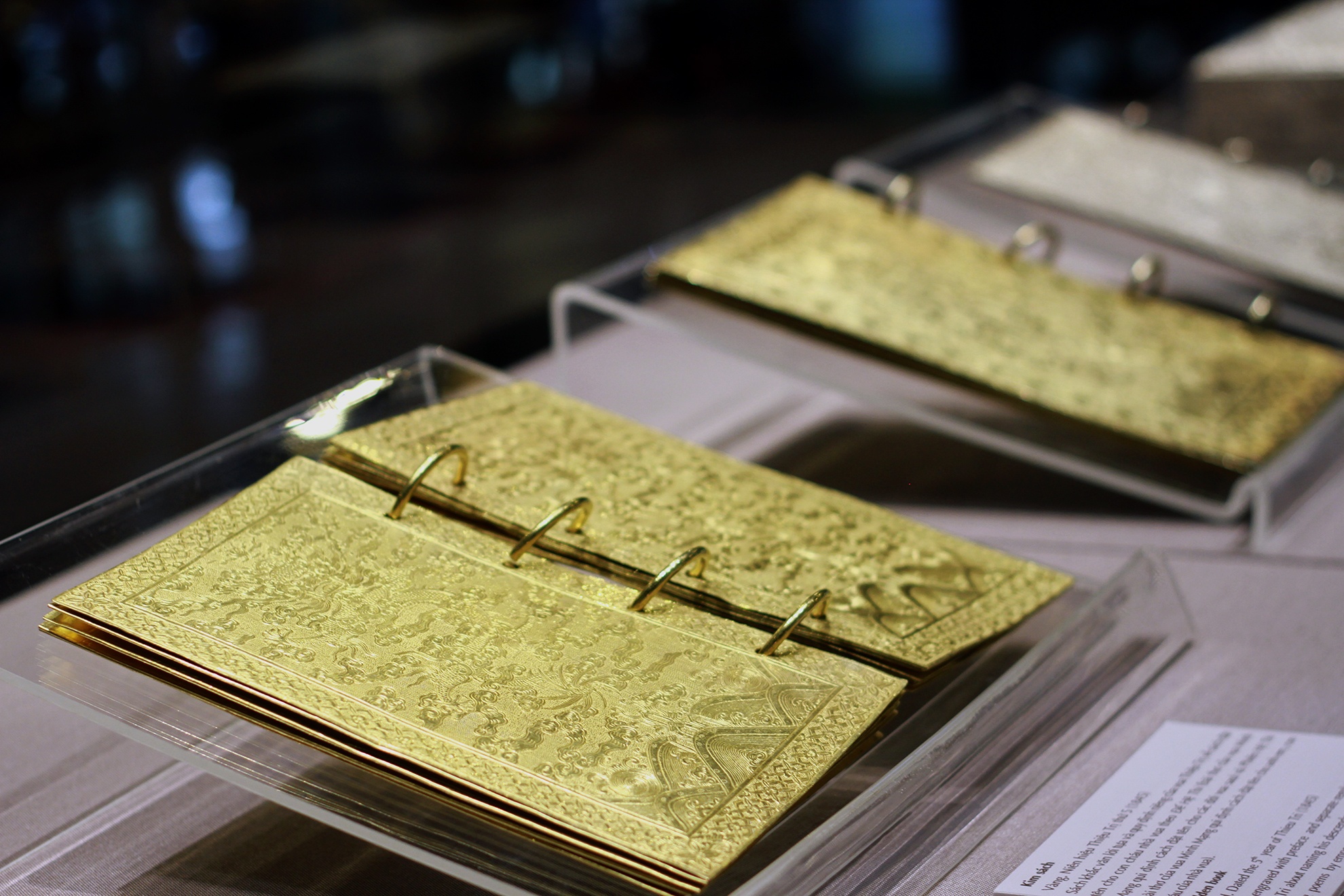 Bao vat rong phuong trieu Nguyen anh 9